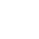 Silver Icon